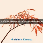 Bitcoin ile Online İş Fırsatlarını Değerlendirerek Düzenli Gelir Sağlamak