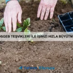 Bitcoin ile 1 Yılda 1 Milyon TL Kazanmanın Stratejileri