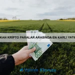Bitcoin ile Döviz İşlemleri Yaparak Pasif Gelir Yaratmanın Yolları