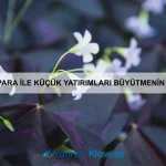 ICO ve IDO Nedir? Yeni Projelere Yatırım Yaparak Büyük Kazançlar